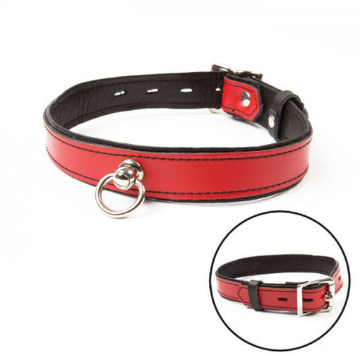 Picture of MISS MORGANE - RED COLLAR