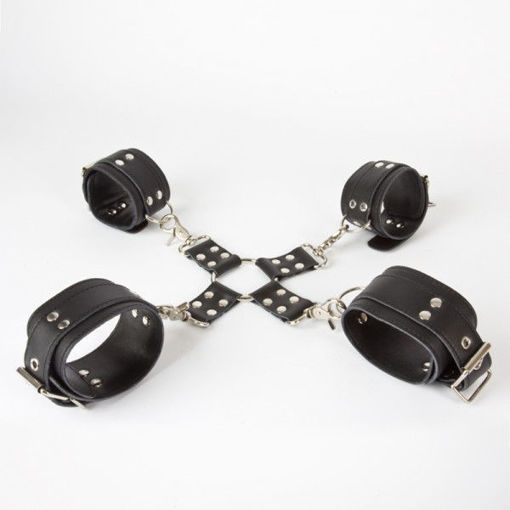 Image de MISS MORGANE - HOGTIE