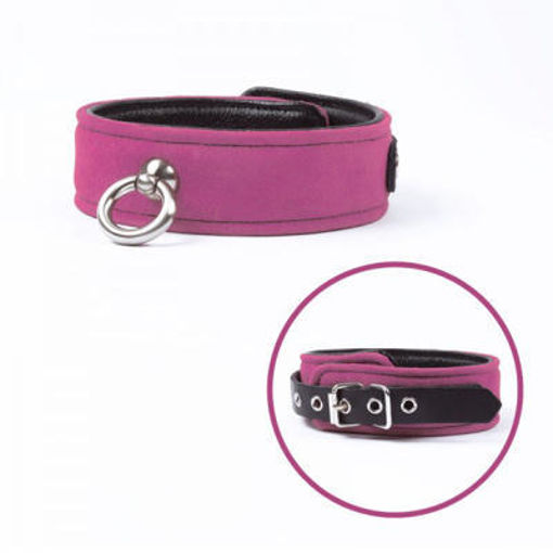 Picture of Miss Morgane Pink Collar